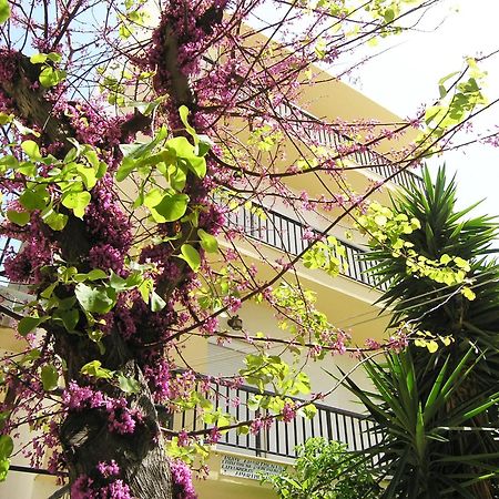 Popy Apartments Ierápetra Dış mekan fotoğraf